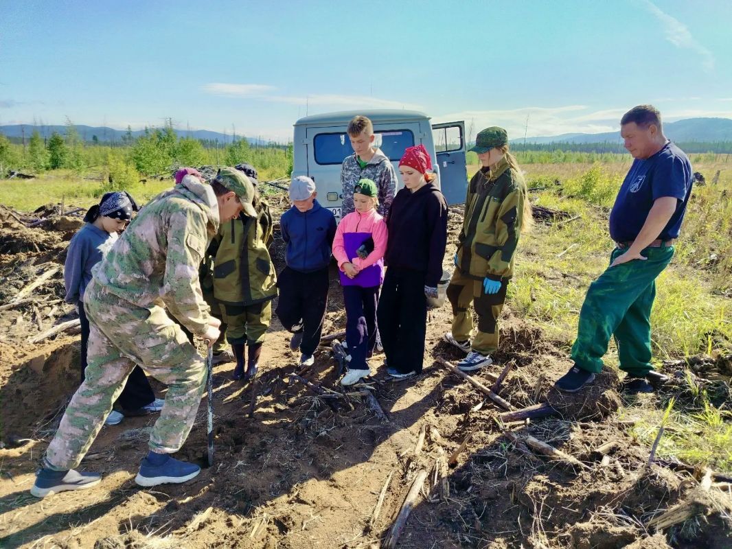 Юные лесоводы помогают природе Юные лесоводы помогают природе