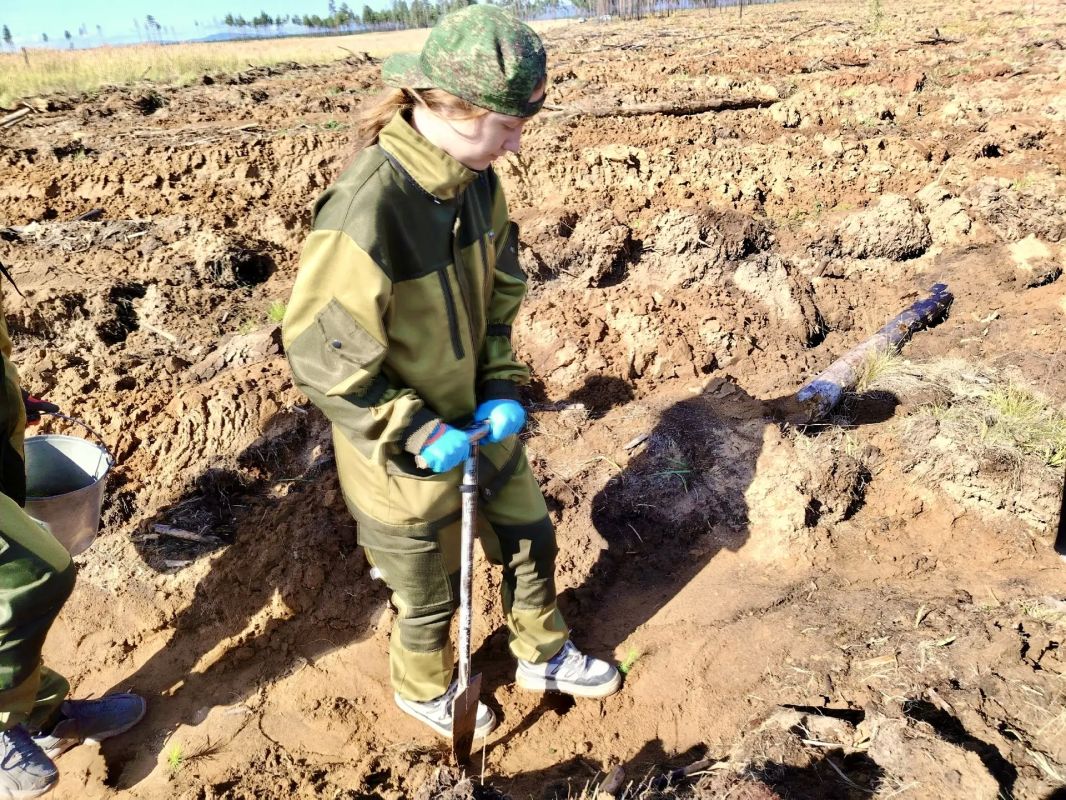 Юные лесоводы помогают природе Юные лесоводы помогают природе