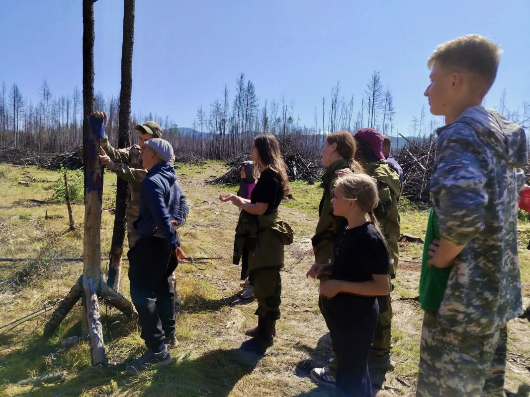 Юные лесоводы помогают природе Юные лесоводы помогают природе