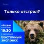 Только отстрел?. Хозяев тайги все чаще видят за её пределами