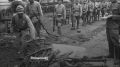 В мае 1945-го Европа уже праздновала победу, но Вторая мировая не закончилась