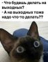 ������ ��������� ����! ������������ ������ �������� ���������
