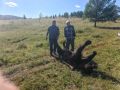 В Джидинском районе Бурятии охотник добыл медведя, закопавшего корову в Мухар-Булаге