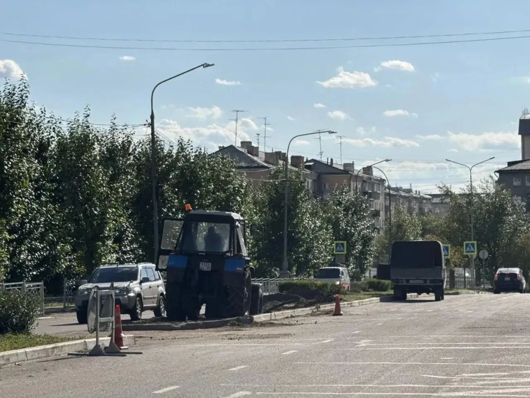 На Октябрьской вырастет зелёная «змейка» На Октябрьской вырастет зелёная «змейка»