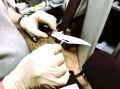 � ������������ ������ ������� �������� �������� ������, ����������� �������� � ��������� �� �������� ��������������
