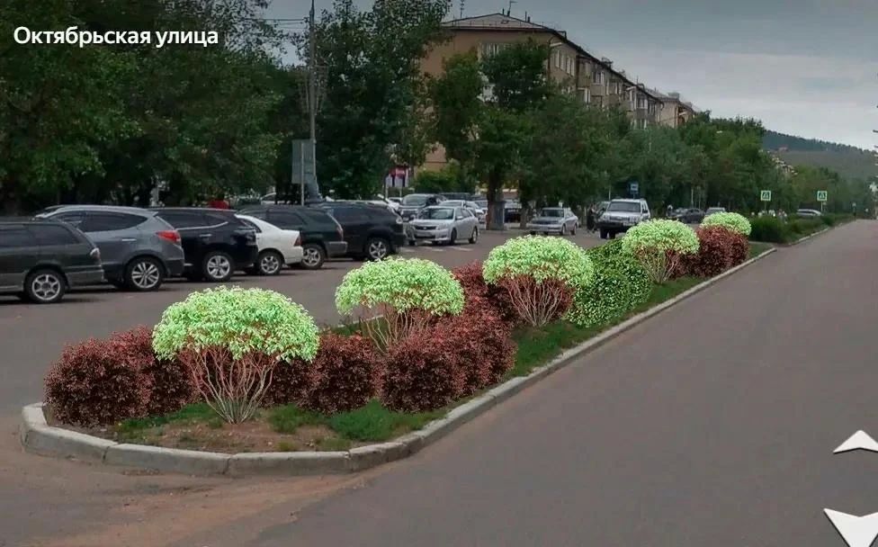 На Октябрьской вырастет зелёная «змейка» На Октябрьской вырастет зелёная «змейка»