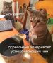 Доброе утро). По данным Бурятского гидрометцентра, 9 сентября по республике переменная облачность, ночью по юго-западу и югу, днём по Прибайкалью и северной половине местами дожди