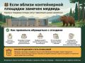 Если вблизи контейнерной площадки замечен медведь
