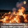 � ����������� ������ ������� 100 ��������� ����
