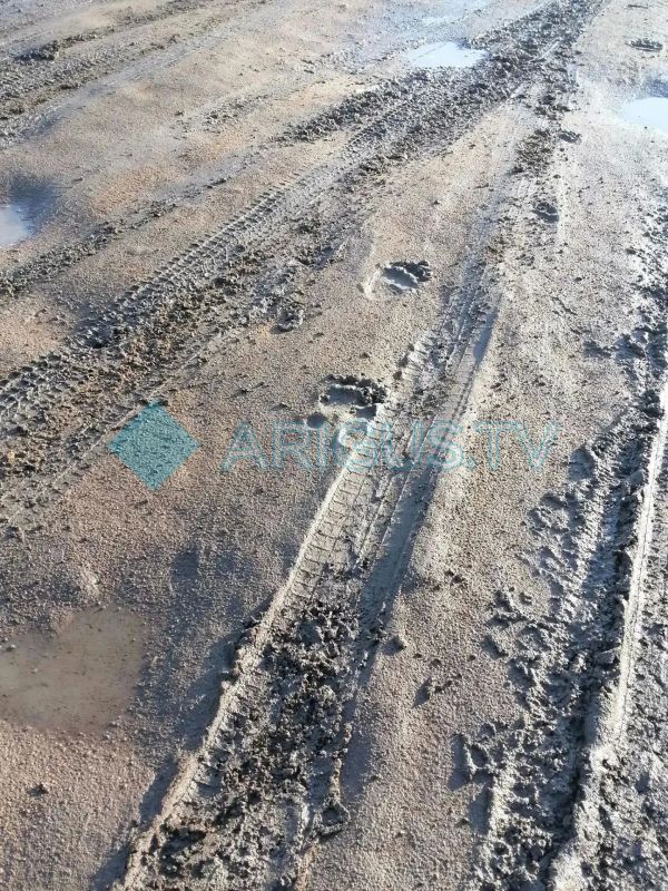 Медведь прогулялся по ДНТ в пригороде Улан-Удэ Медведь прогулялся по ДНТ в пригороде Улан-Удэ
