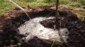 «Плюс полсотни деревьев!» Осенние посадки начались в Улан-Удэ