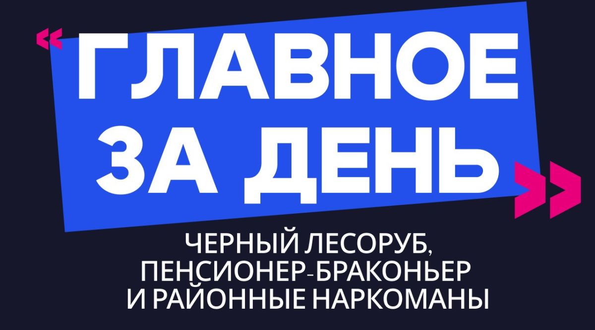 Главное за день: черный лесоруб, пенсионер-браконьер и районные наркоманы
