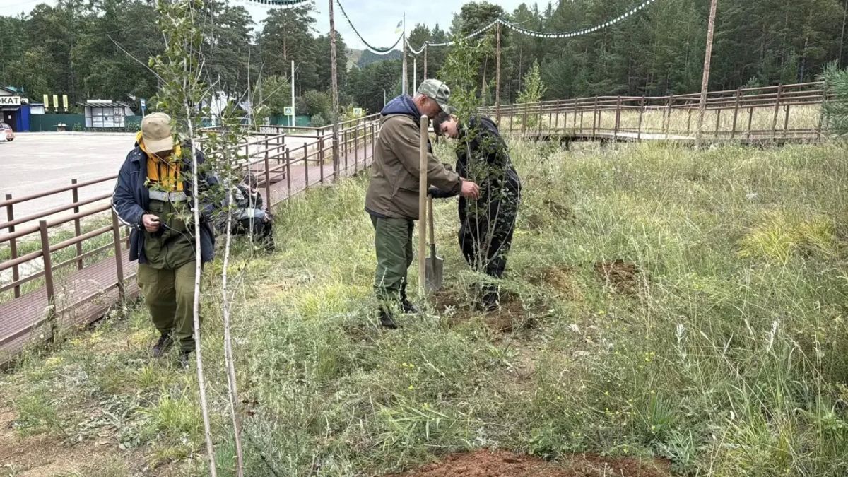 Игорь Шутенков: Уважаемые лесники, от всей души поздравляю вас с профессиональным праздником! Игорь Шутенков: Уважаемые лесники, от всей души поздравляю вас с профессиональным праздником!