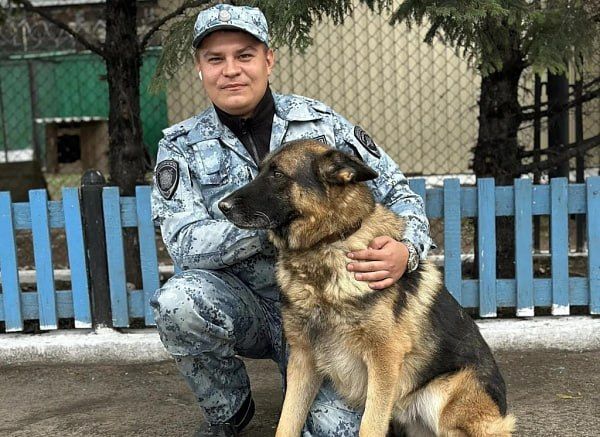 В Улан-Удэ собака Классик Аллерт Аргус нашла похитительницу обогревателя