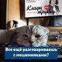 �� �������� ��� ��� ���������������� 13 ������������, ����������� � �������������� IT-����������