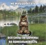 ����������� ��������!. 22 �������� � ������� ��������� ���������, �� ����� �������� � ��������� �����