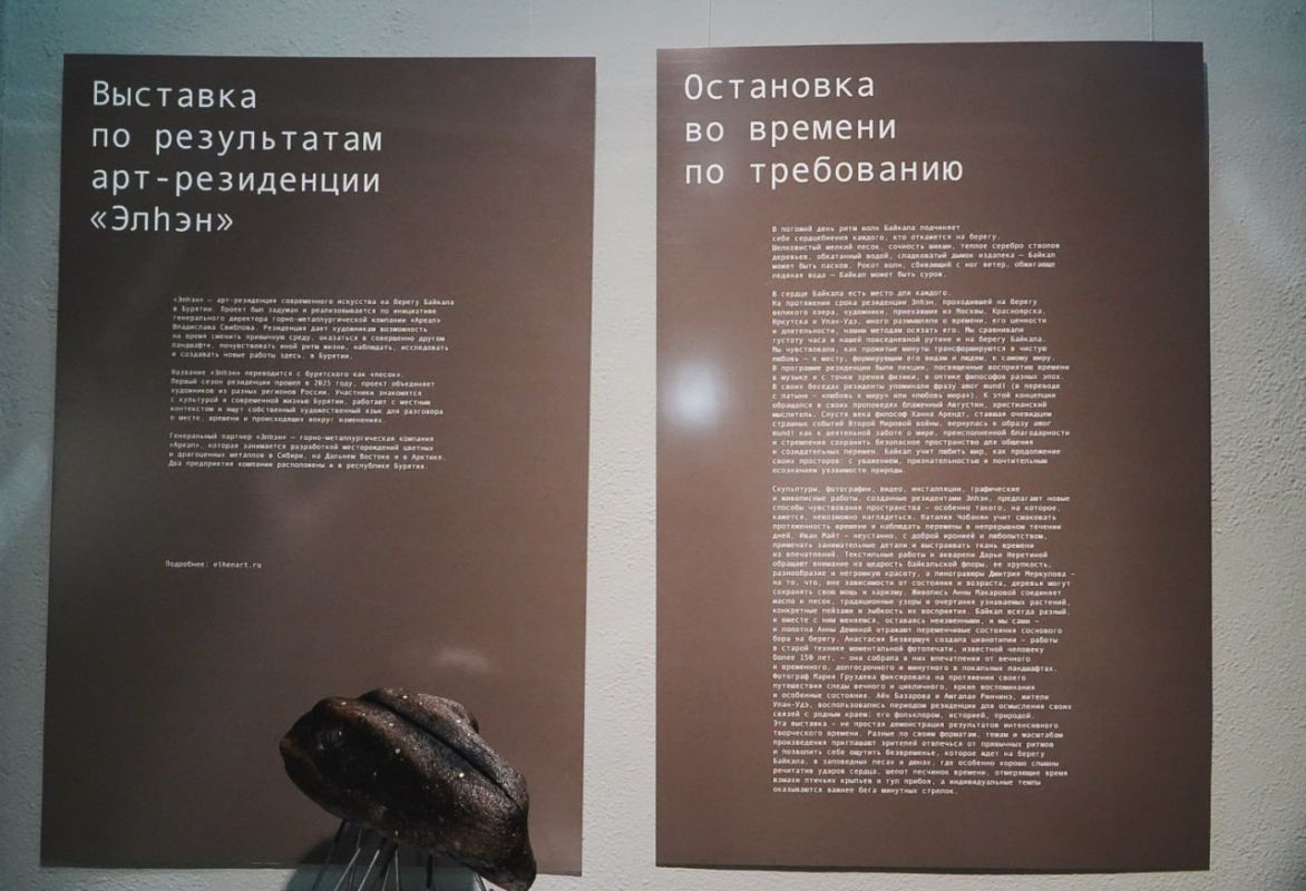 Песок, ржавчина и байкальские растения стали частью новой выставки в Улан-Удэ Песок, ржавчина и байкальские растения стали частью новой выставки в Улан-Удэ