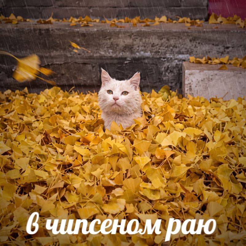 Мокрый снег и ветер накроют Бурятию в выходные