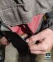 В Улан-Удэ сотрудники полиции изъяли у местного жителя крупную партию наркотиков