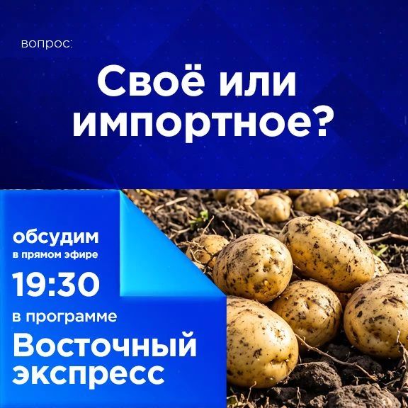 Своё или импортное?. Бурятия собирает урожай
