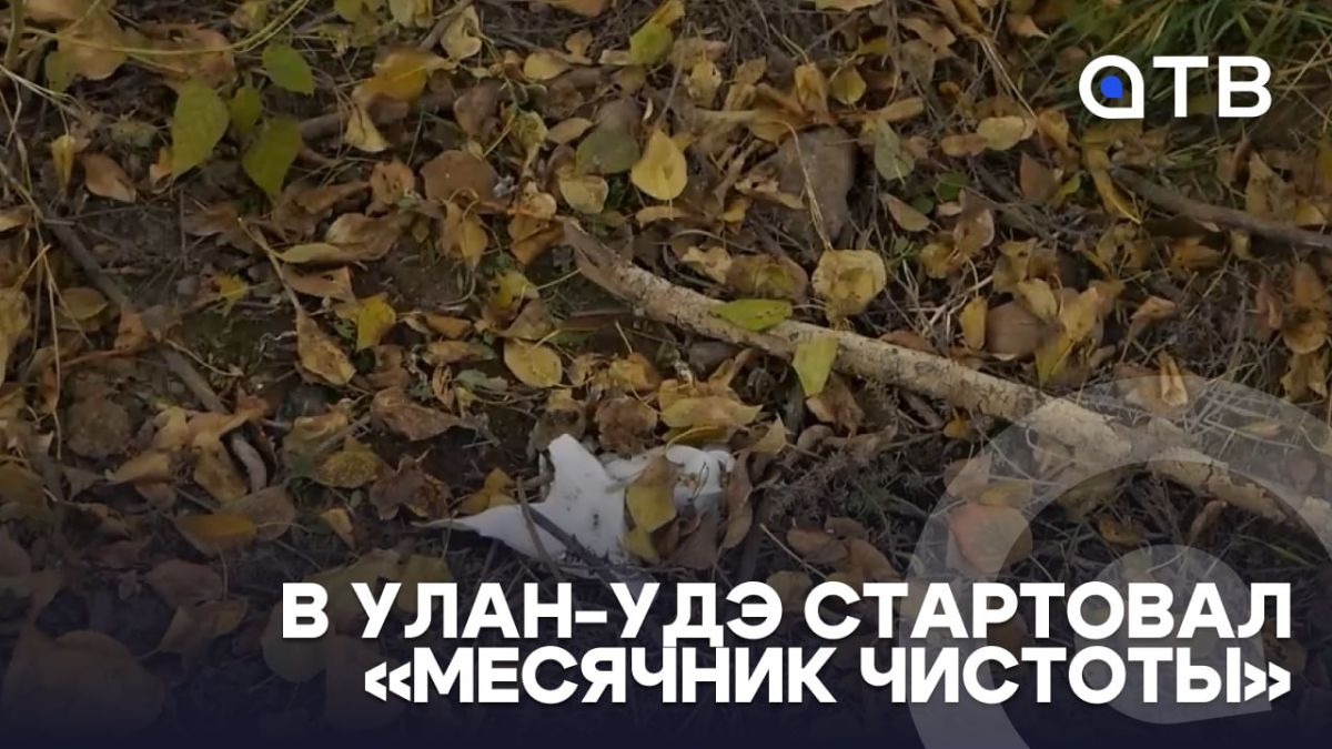 Навести порядок. В Улан-Удэ стартовал «Месячник чистоты»