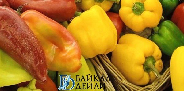 В Бурятии произошёл взрыв урожайности овощей открытого грунта
