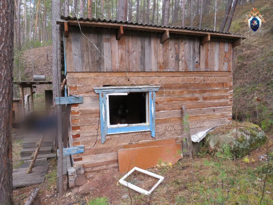 Два человека погибли после нападения медведей в Иркутской области Два человека погибли после нападения медведей в Иркутской области