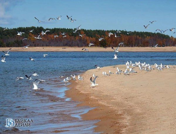 На Байкале планируют создать единый Кодекс поведения туристов