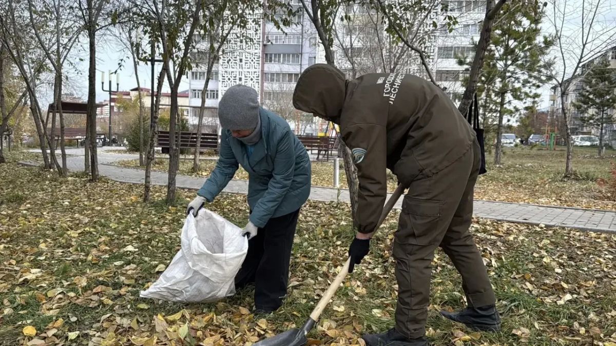 Почему в скверах не убирают всю опавшую листву? Почему в скверах не убирают всю опавшую листву?