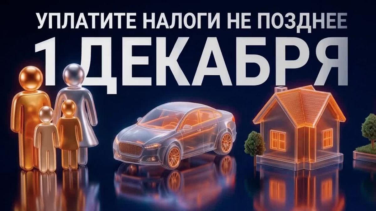 Уплатите налоги до 1 декабря 2026 года