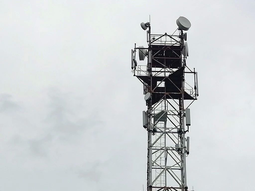 МТС включила LTE в Белоозерске, селе где наблюдают за краснокнижными птицами