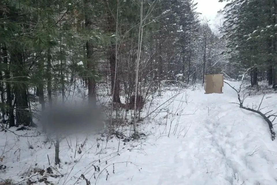 Охотник из Иркутска случайно убил друга, прицеливая ружье