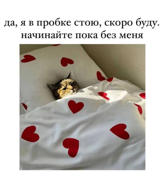 Доброе утро! Удачной среды :)