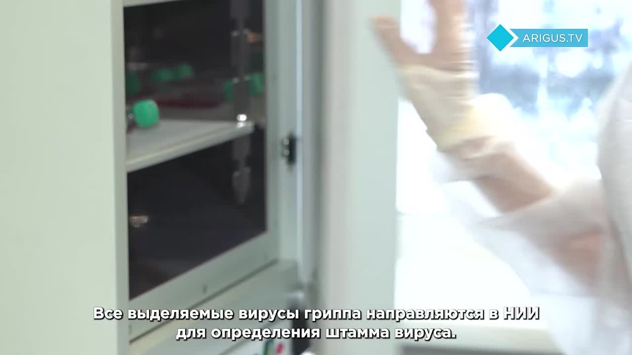 Невидимый фронт: как учёные из Бурятии помогают бороться с гриппом во всём мире