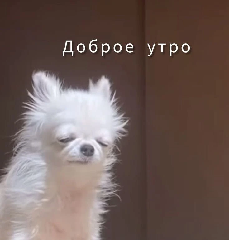 Бодрое утро! В Бурятии сохраняется ветреная погода