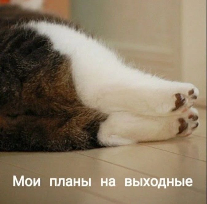 Доброе утро! Желаем отличных выходных